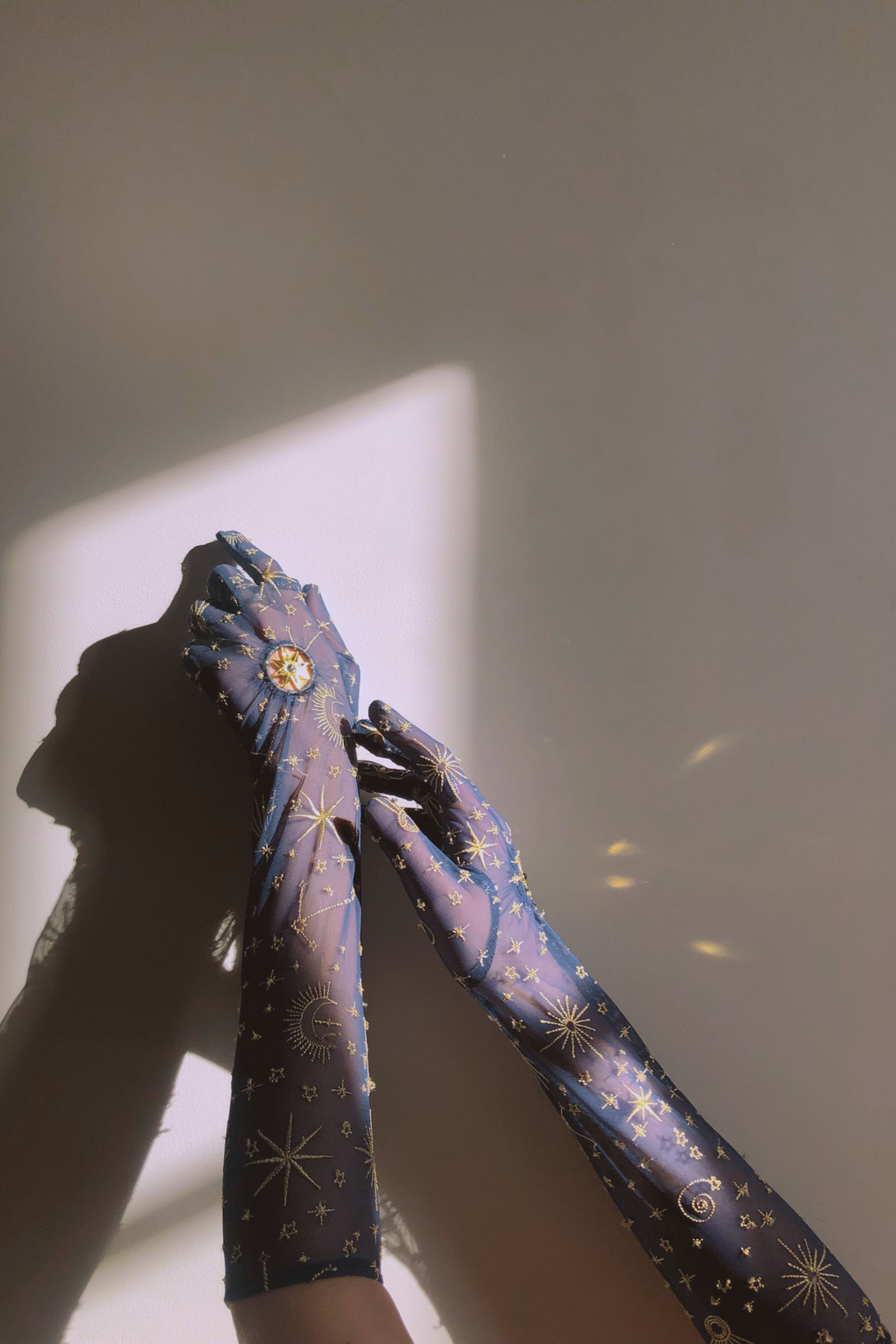 Celeste Long Gloves